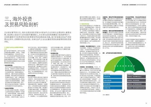 德勤視角 油氣行業(yè)在“十四五”期間海外投資與國際貿易的風險把控策略